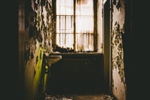 Les matériaux de construction à privilégier pour une rénovation durable