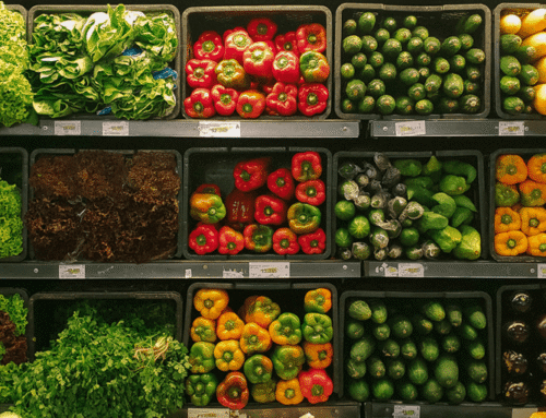 Agroalimentaire Maroc : Un Secteur en Pleine Croissance