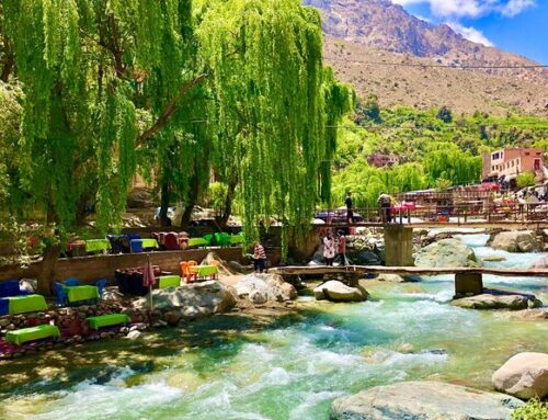 Maison d&rsquo;hôte sur la route d&rsquo;Ourika à Marrakech – Séjour, activités et investissement